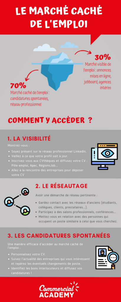 Infographie retraçant le marché caché de l'emploi avec un iceberg