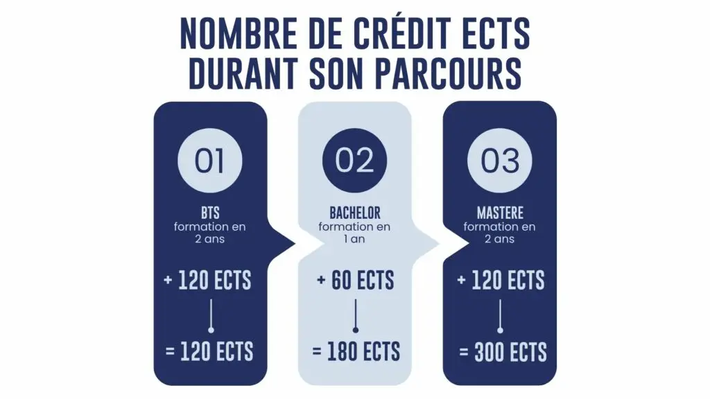 infographie qui montre le nombre de crédit ects accumulé durant un parcours de formation